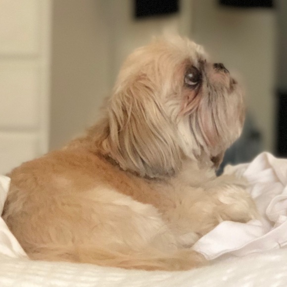 Meet your Posher, Kristin - Picture 5 of 7